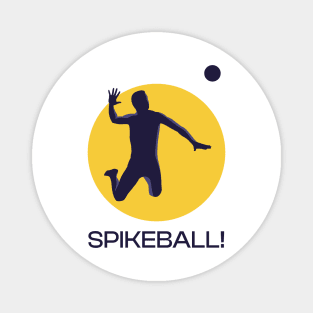 Spikeball! Magnet